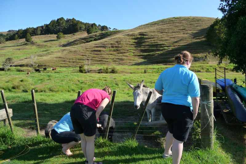 Nieuw-Zeeland 2011 - 0299